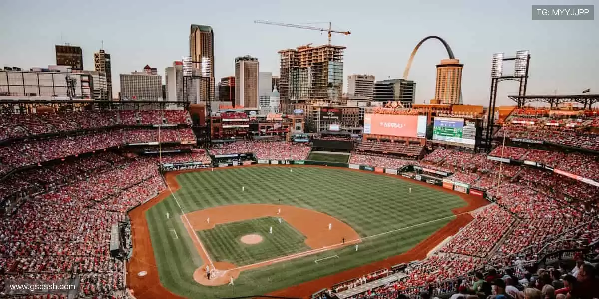 🎯 精准捕捉，不错过任何一个精彩瞬间！